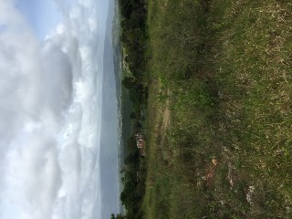 Bellevue, St. Elizabeth, Jamaica - Residential lot for Sale